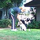 【写真7】必要な犬には、トレーニングもボランティアによってされています