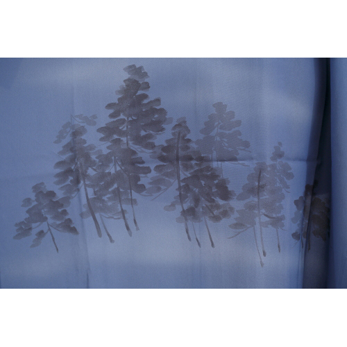 ���@�فi�V�Õi�A�|���G�X�e���j