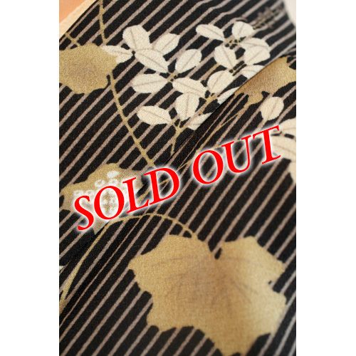 ����i�V�i�A�|���G�X�e���j