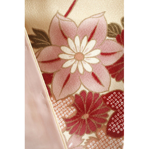 ����i�V�i�A�|���G�X�e���j