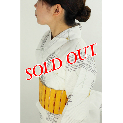 �䂩�� �W�ڂ̔� �I���ɗV�ԋ��̗钎