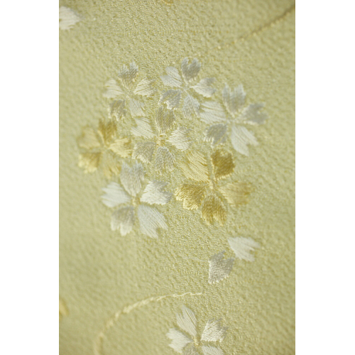 �W�̔����� �������F �����F�̋e�h�J