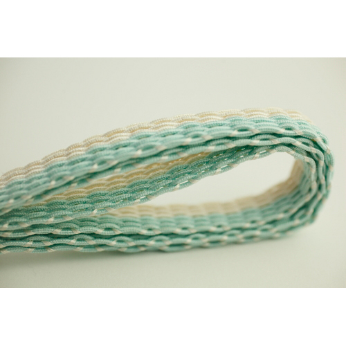 �W�̑ђ� ���Ɛ��F�̎�g