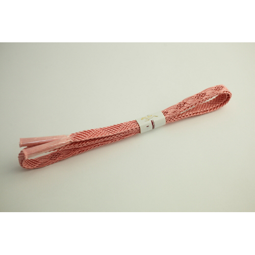 �W�̑ђ� ���s���N