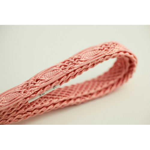 �W�̑ђ� ���s���N