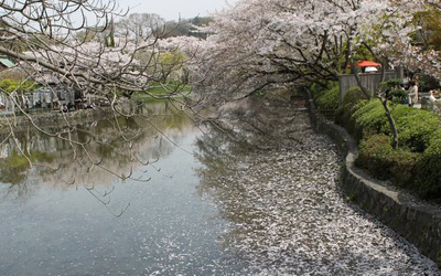 �����̂𒅕t�����q��