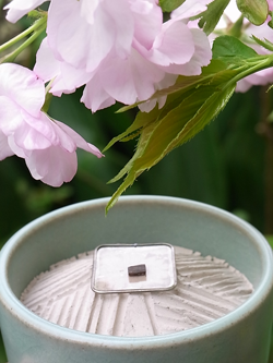 Kazumi流聞香(もんこう)