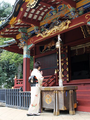 ���������{�Ɍw�ł�Óc�b�q